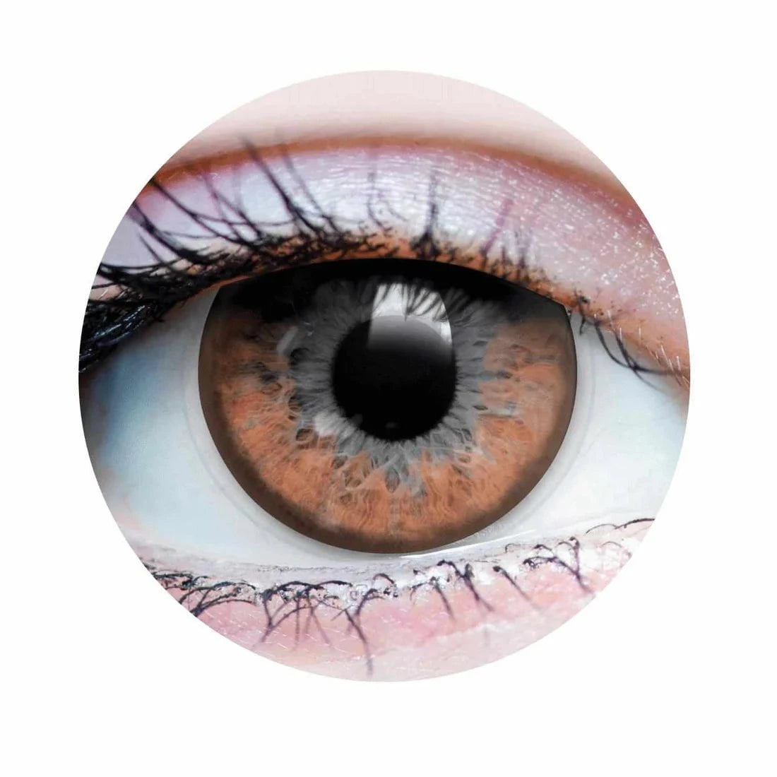 PRIMAL CONTACT LENSES Costume Accessories PRIMAL® Twilight Hazel - Brown Coloured Contact Lenses, 3 Months Usage 628153225103