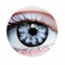 PRIMAL CONTACT LENSES Costume Accessories PRIMAL® White Walker I - Grey Coloured Contact Lenses, 3 months usage 628153229064