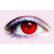 PRIMAL CONTACT LENSES Costume Accessories Red X-Ray Contact Lenses, 3 Month Usage 628153229422