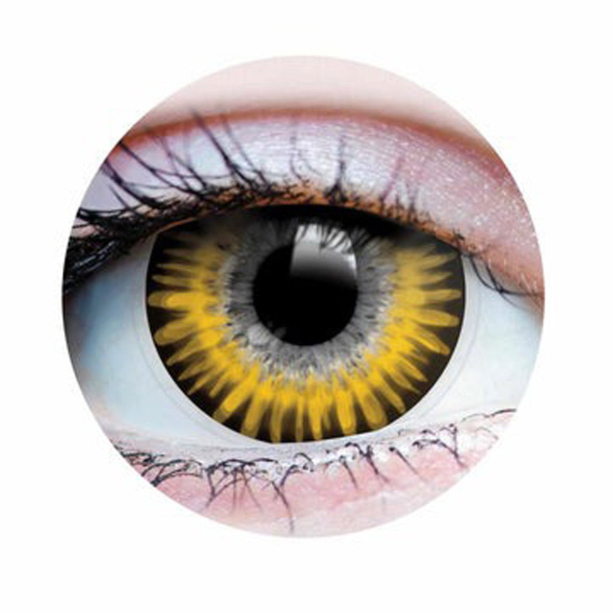 PRIMAL CONTACT LENSES Costume Accessories Temptress Chestnut Contact Lenses, 3 Month Usage 22660