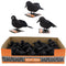 REGEN PRODUCTS CORP. Halloween Crow With Glitter, 6 Inches, Assortment, 1 Count