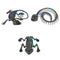 REGEN PRODUCTS CORP. Halloween Electroplated Animal Skeleton, Assortment, 1 Count 721003899742