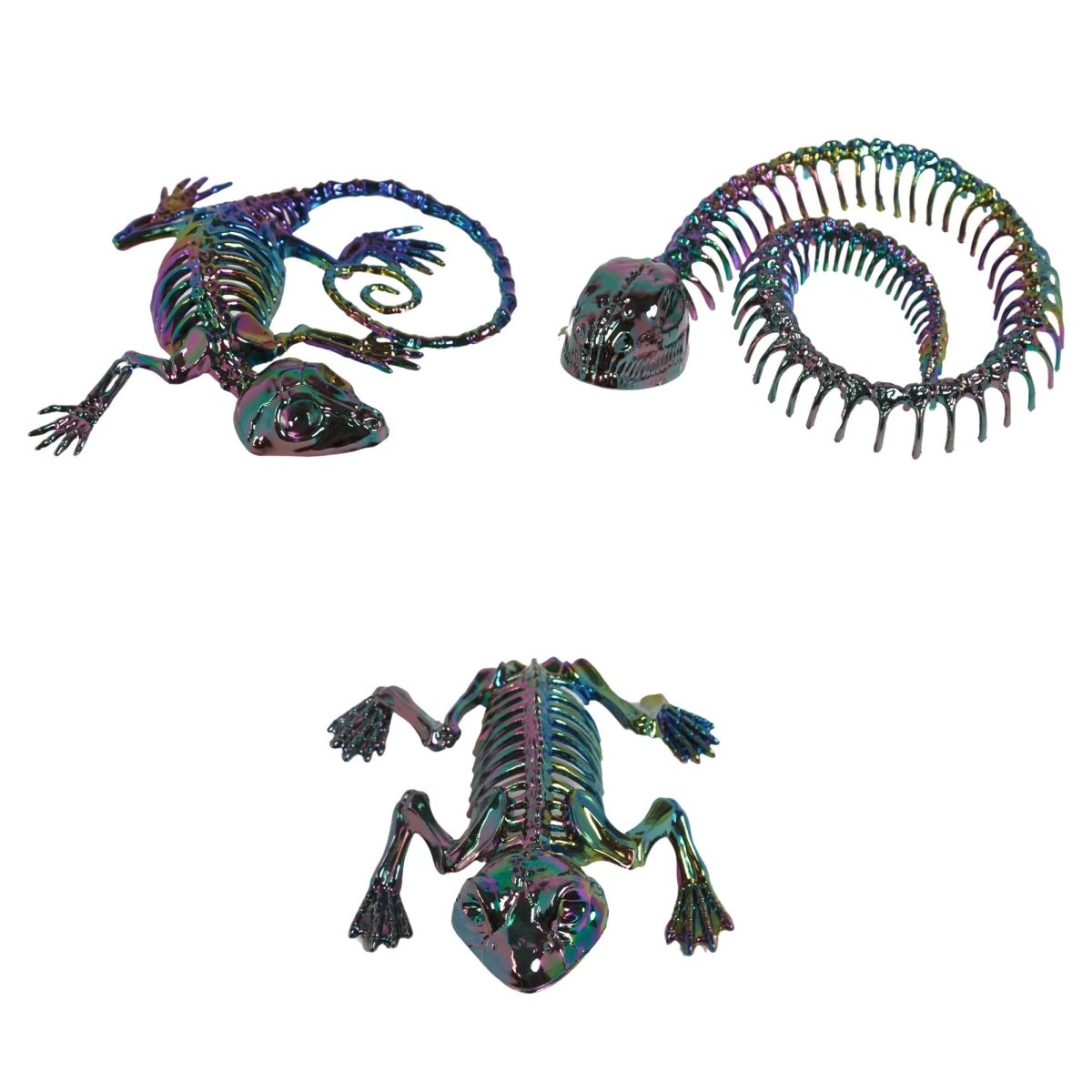 REGEN PRODUCTS CORP. Halloween Electroplated Animal Skeleton, Assortment, 1 Count 721003899742