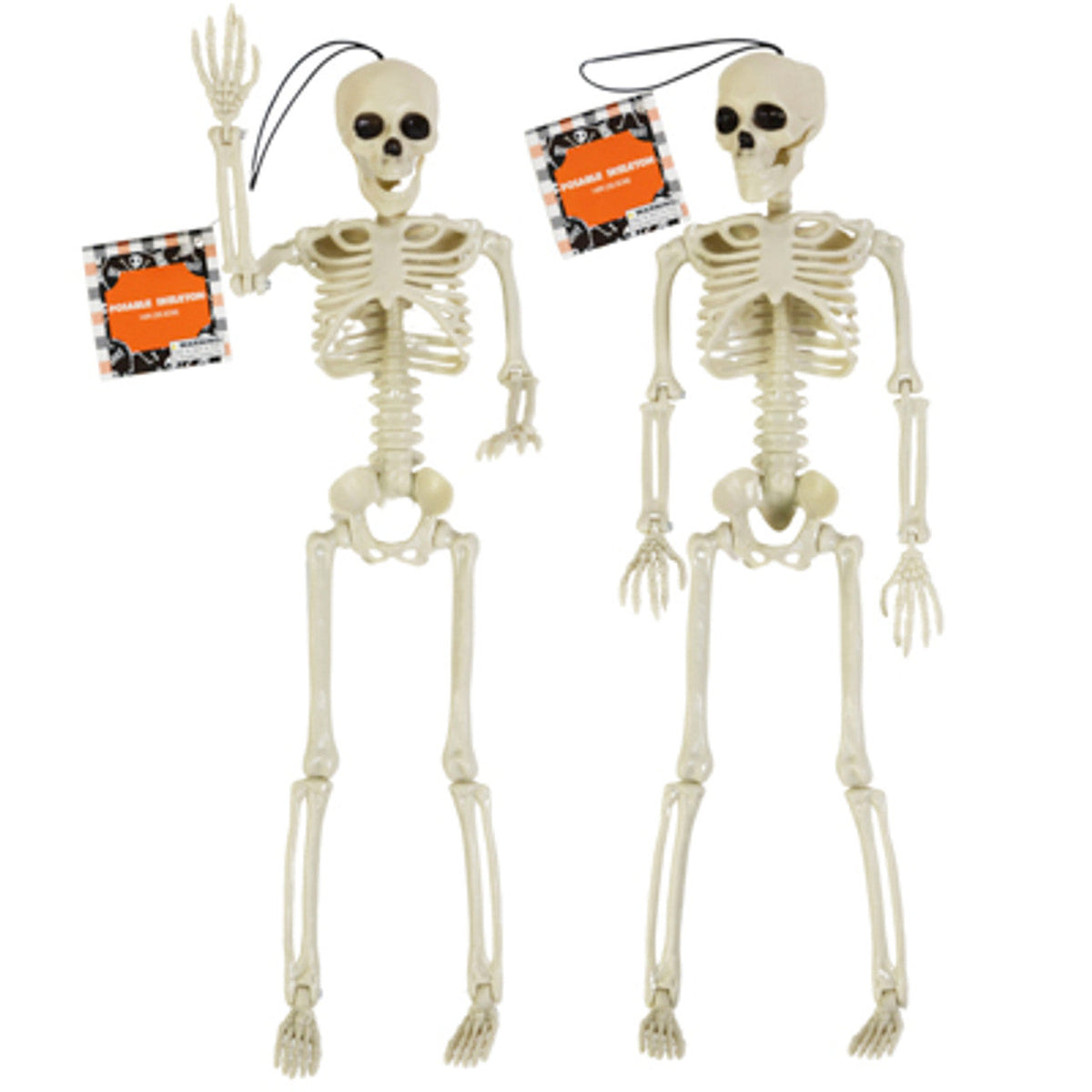 REGEN PRODUCTS CORP. Halloween Hanging Skeleton, 14 Inches, 1 Count