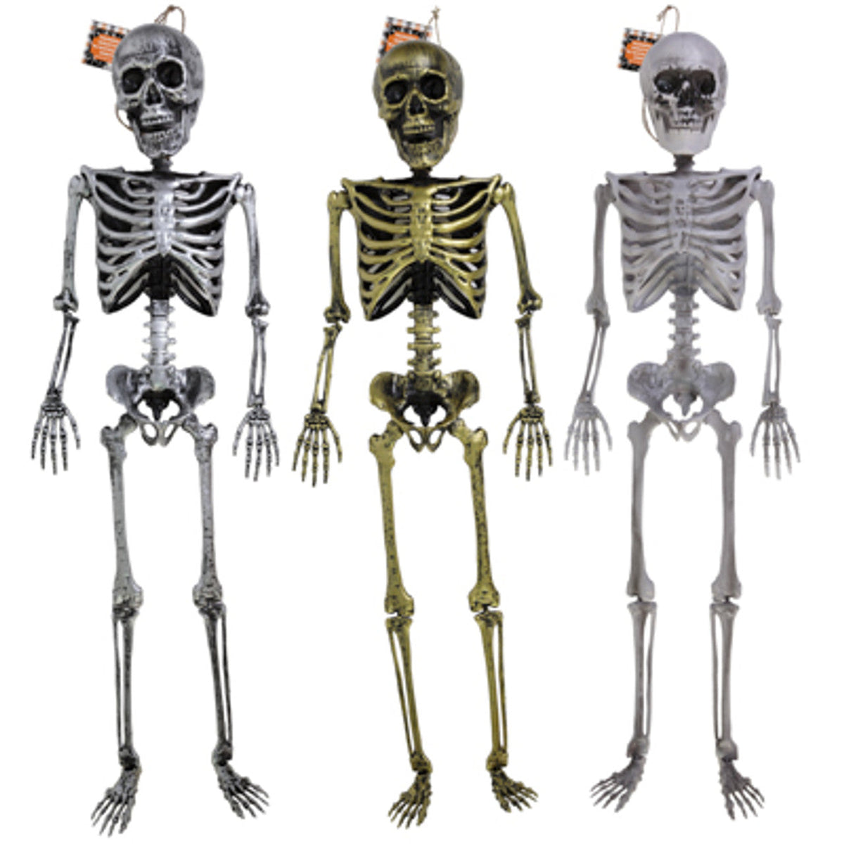 REGEN PRODUCTS CORP. Halloween Hanging Skeleton, 36 Inches, Assortment, 1 Count