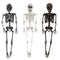 REGEN PRODUCTS CORP. Halloween Light-Up Hanging Skeleton, 36 Inches, Assortment 1 Count 721003899889