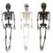 REGEN PRODUCTS CORP. Halloween Light-Up Hanging Skeleton, 36 Inches, Assortment 1 Count 721003899889