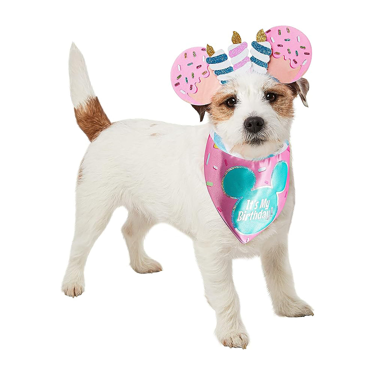 RUBIES II (Ruby Slipper Sales) Costume Accessories Disney Minnie Mouse Ears and Bandana Birthday Set for Pets 195884019337