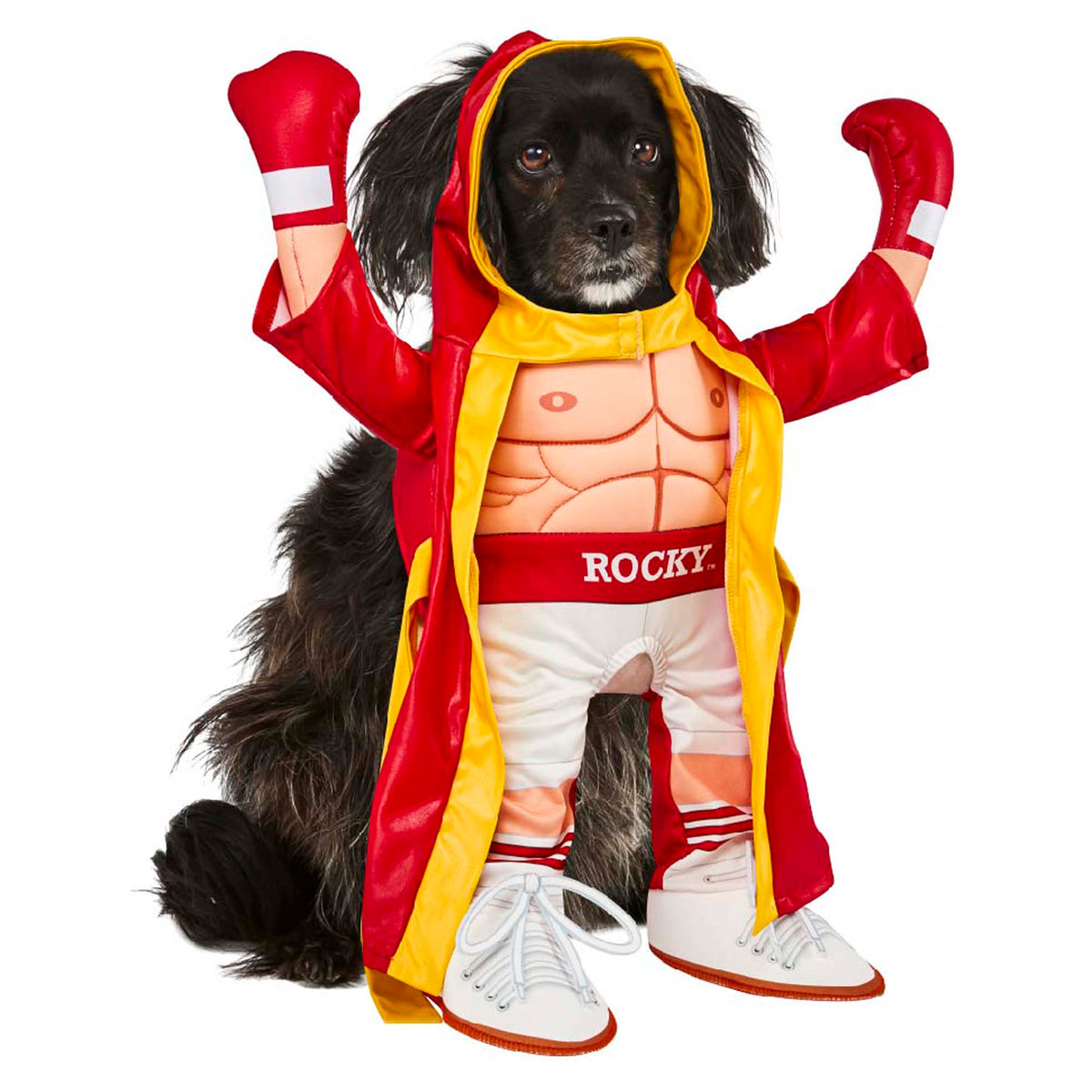 RUBIES II (Ruby Slipper Sales) Costumes Rocky Balboa Costume for Pets
