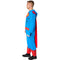 RUBIES II (Ruby Slipper Sales) Costumes Superman Classic Costume for Adults, Comfy Onesie, DC Comics