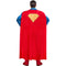 RUBIES II (Ruby Slipper Sales) Costumes Superman Costume for Adults, Jumpsuit and Cape, DC Comics