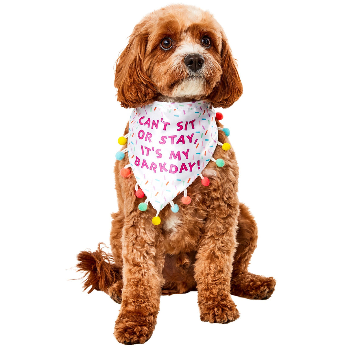 RUBIES II (Ruby Slipper Sales) General Birthday Sprinkle Birthday Bandana for Dogs