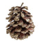 SANTEX Christmas Gold Pine Cones, 12 Count 3660380108450