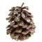 SANTEX Christmas Gold Pine Cones, 12 Count 3660380108450