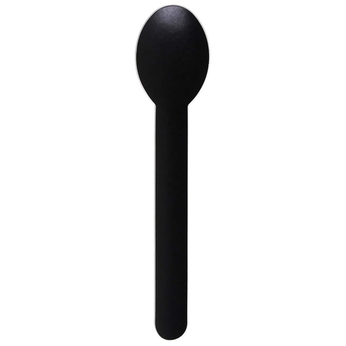 SANTEX Disposable-Plasticware Black ECO Paper Spoons, 10 Count 3660380097921