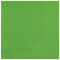 SANTEX Everyday Entertaining Green Large Lunch Paper Party Napkins, 25 Count 3660380090274