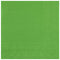 SANTEX Everyday Entertaining Green Large Lunch Paper Party Napkins, 25 Count 3660380090274