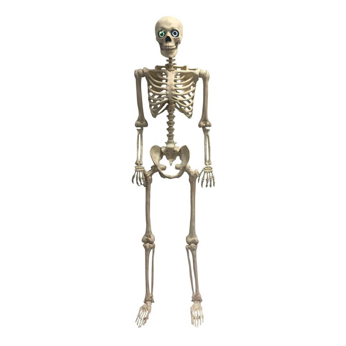 SEASONS HK USA INC Halloween Animated Light-Up Skeleton, 36 Inches, 1 Count