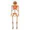 SEASONS HK USA INC Halloween Pumpkin Head Skeleton, 60 Inches, 1 Count