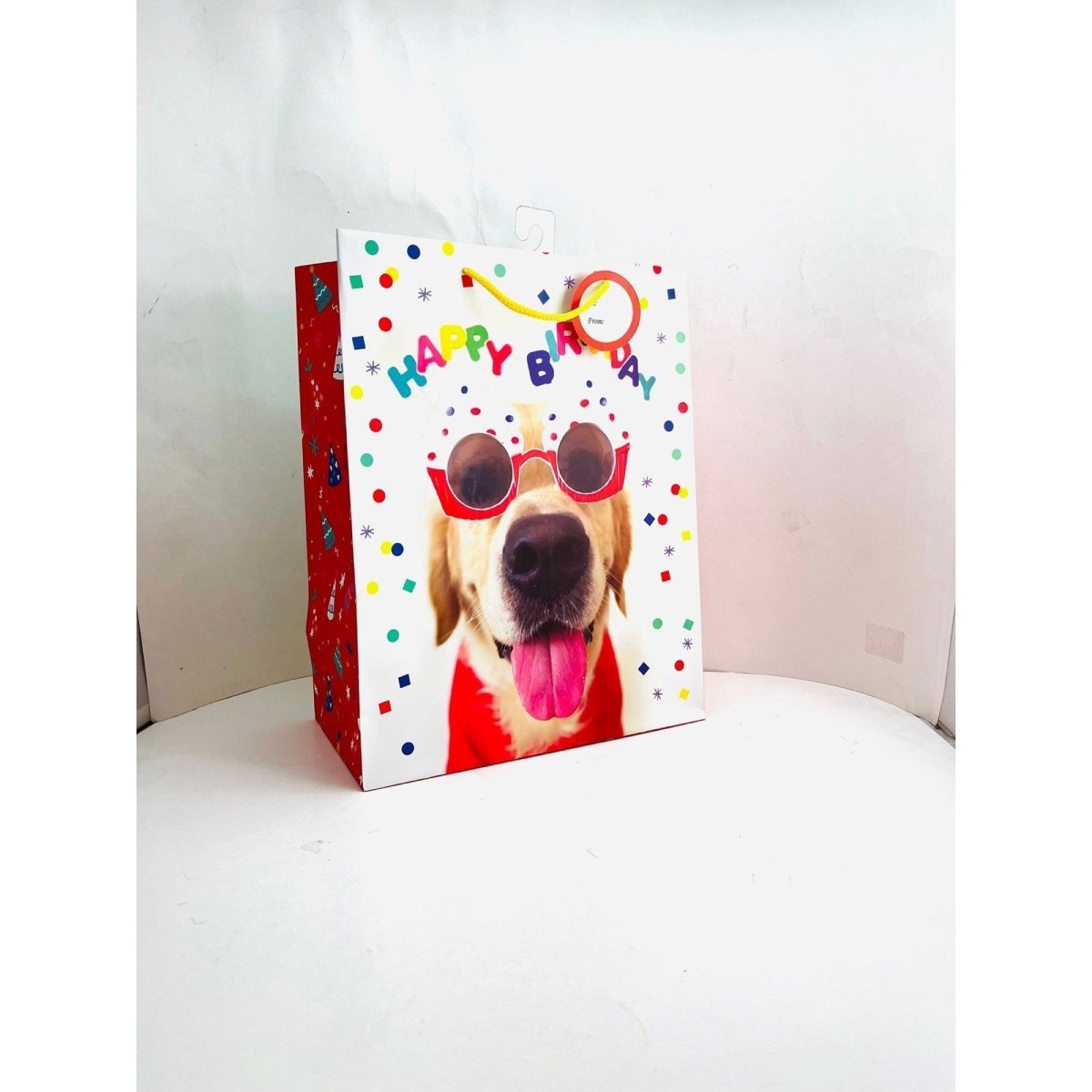 SIU & SONS INT'L TRADING Everyday Entertaining Large Happy Birthday Gift Bag Dog, 10x12 Inches, 1 Count