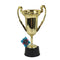 SIU & SONS INT'L TRADING Theme Party Gold Trophy , 8.5 Inches, 1 Count