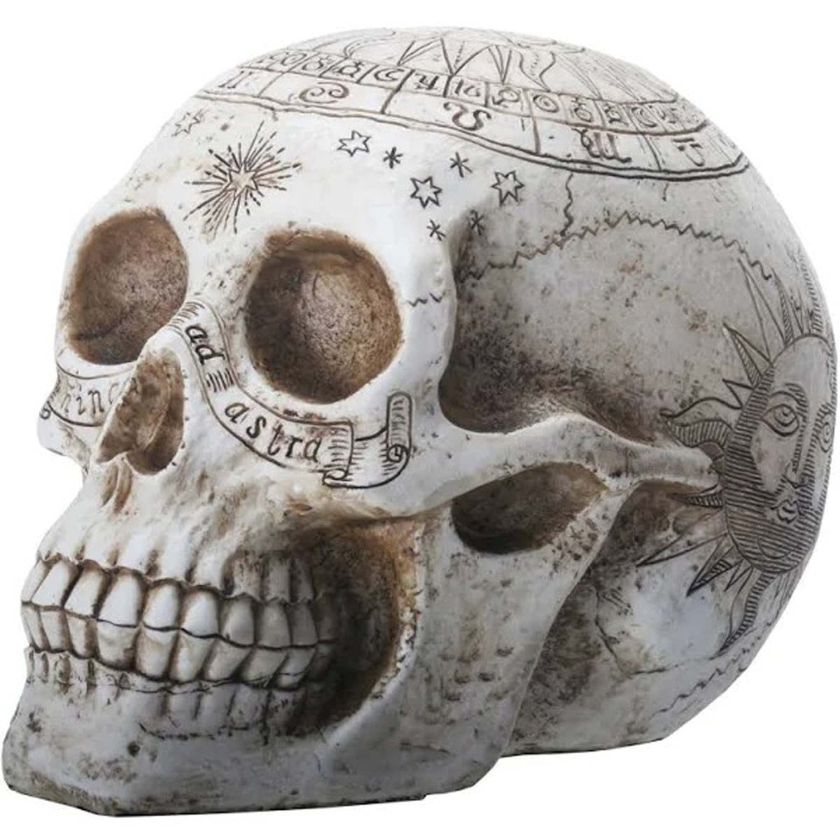 SUNSTAR INDUSTRIES Halloween Fortune Telling Skull, 7 Inches, 1 Count