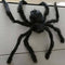 SUNSTAR INDUSTRIES Halloween Furry Spider, 1 Count 762543458792