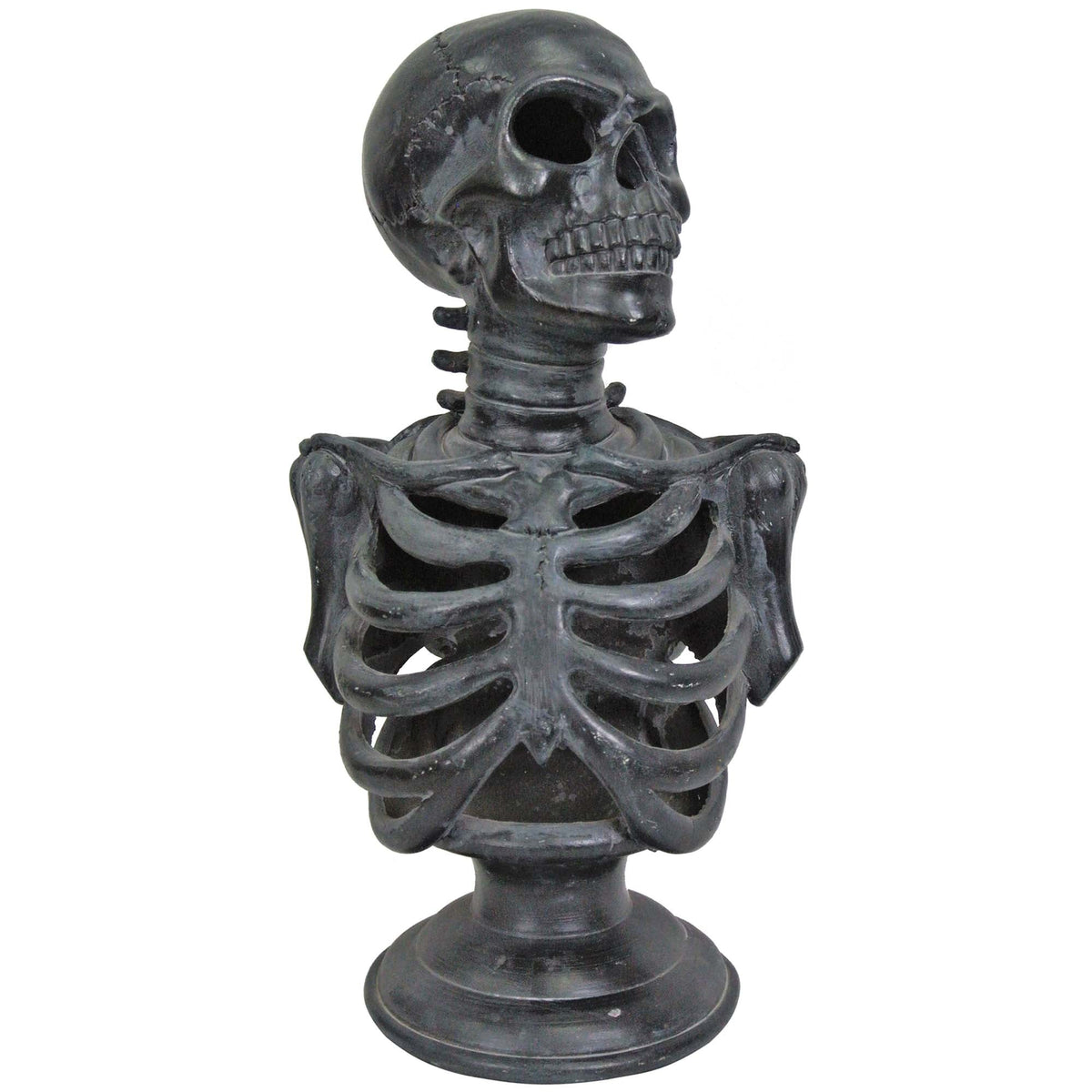 SUNSTAR INDUSTRIES Halloween Light-Up Skeleton Torso, 12 Inches, 1 Count 762543460740