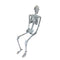 SUNSTAR INDUSTRIES Halloween Mirror Skeleton, 72 Inches, 1 Count 831687066146
