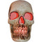 SUNSTAR INDUSTRIES Halloween Plastic Tombstone Skull Light-Up, 27 Inches, 1 Count 762543483305