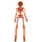 SUNSTAR INDUSTRIES Halloween Pumpkin Skeleton, 16 Inches, 1 Count 762543484999