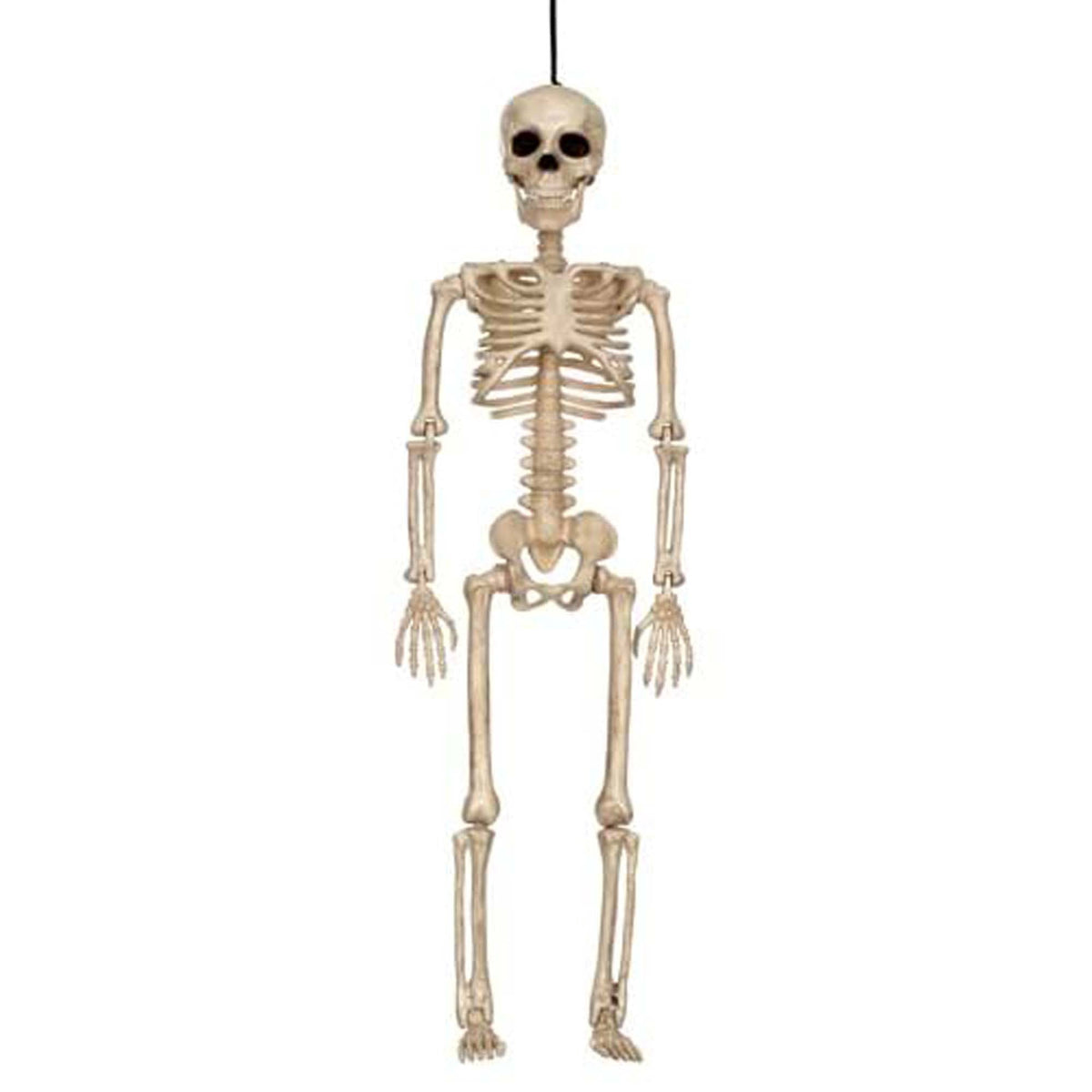 SUNSTAR INDUSTRIES Halloween Skeleton, 16 Inches, 1 Count