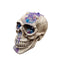 SUNSTAR INDUSTRIES Halloween Skeleton Head with Pearls, 1 Count 831687076404