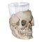 SUNSTAR INDUSTRIES Halloween Skull Glass, 1 Count