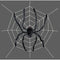 SUNSTAR INDUSTRIES Halloween Spider Web With Giant Spider, 1 Count 762543828571
