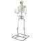 SUNSTAR INDUSTRIES Halloween Titan Skeleton With LED Eyes, 120 Inches, 1 Count 762543480472