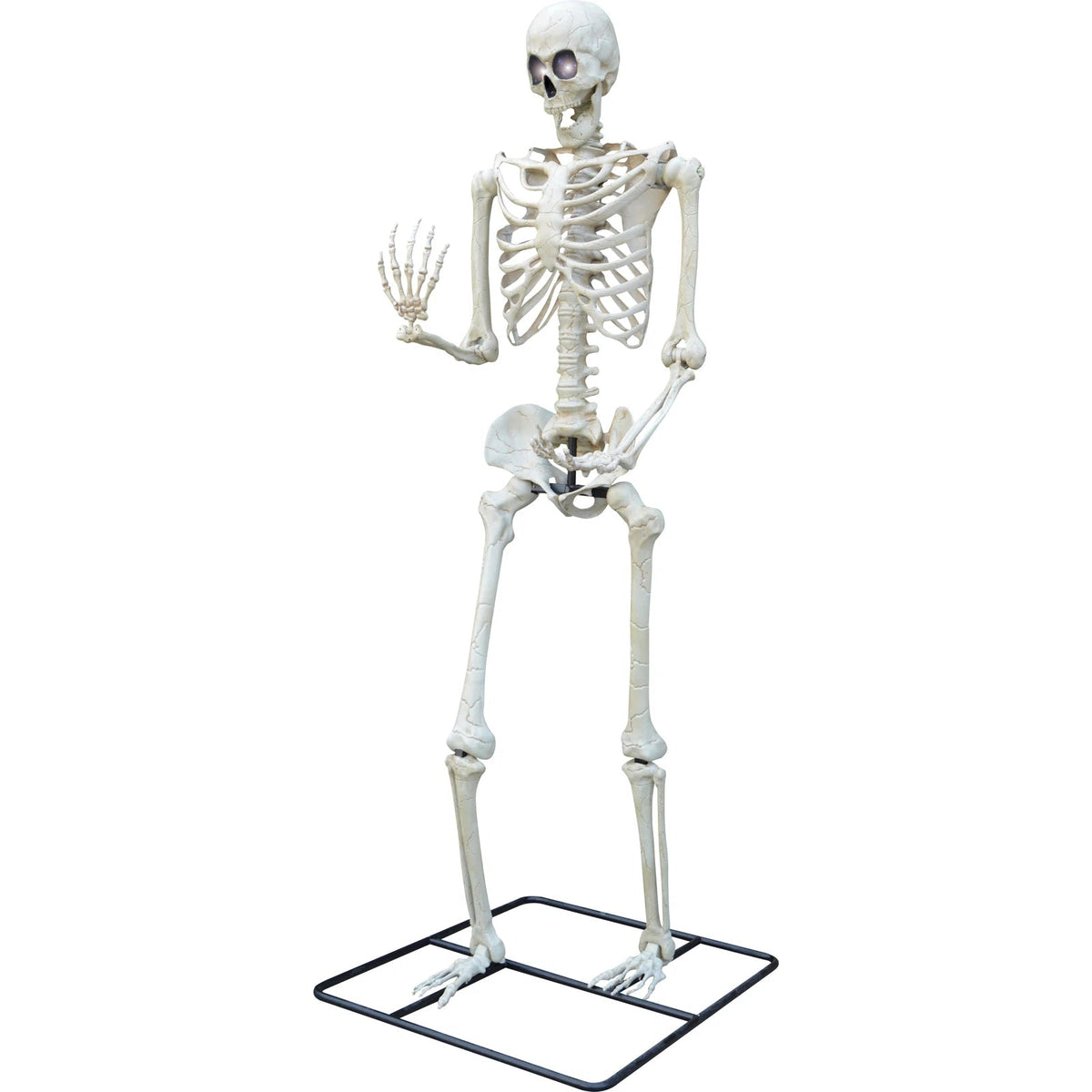 SUNSTAR INDUSTRIES Halloween Titan Skeleton With LED Eyes, 120 Inches, 1 Count 762543480472
