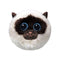 TY INC Plushes TY Beanie Bouncers Siamese Plush, Sammy, 4 Inches, 1 Count 008421830107