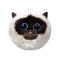 TY INC Plushes TY Beanie Bouncers Siamese Plush, Sammy, 4 Inches, 1 Count 008421830107