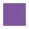 UNIQUE PARTY FAVORS Disposable-Plasticware Purple Small Beverage Napkins, 20 Count 011179992119