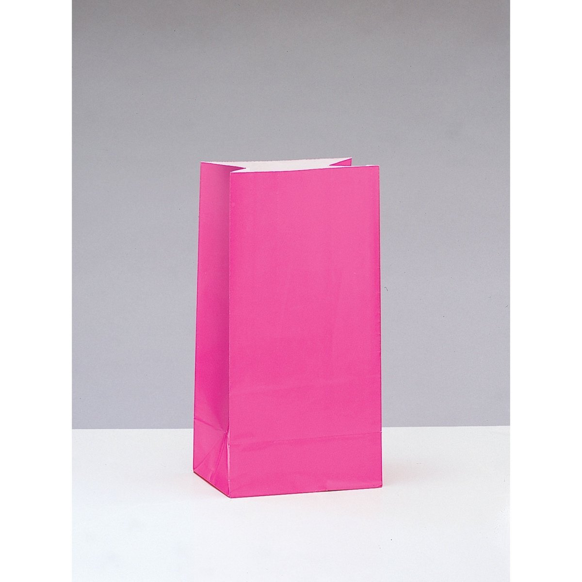 UNIQUE PARTY FAVORS Gift Wrap & Bags Hot Pink Paper Party Bags, 10 x 5 Inches, 12 Count 011179590056
