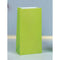 UNIQUE PARTY FAVORS Gift Wrap & Bags Kiwi Green Paper Party Bags, 10 x 5 Inches, 12 Count 011179590179