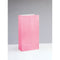 UNIQUE PARTY FAVORS Gift Wrap & Bags New Pink Paper Party Bags, 10 x 5 Inches, 12 Count 011179590018