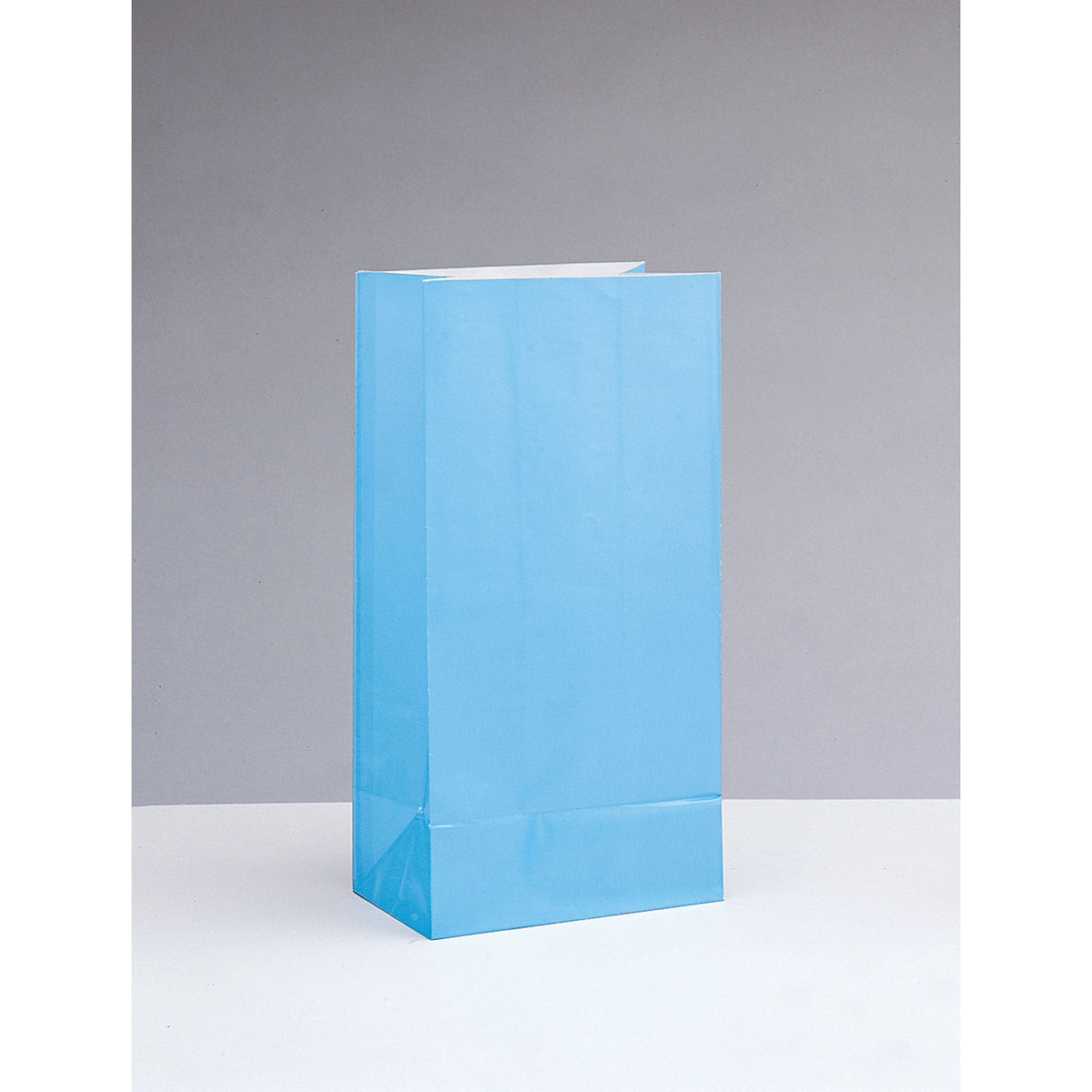 UNIQUE PARTY FAVORS Gift Wrap & Bags Powder Blue Paper Party Bags, 10 x 5 Inches, 12 Count 01117950025