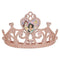 UNIQUE PARTY FAVORS Kids Birthday Disney Princesses Birthday Tiara, 1 Count 011179210466