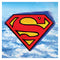 UNIQUE PARTY FAVORS Kids Birthday Superman Birthday Large Lunch Napkins, 16 Count 011179156474