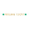 UNIQUE PARTY FAVORS St-Patrick Charming Shamrock "Feeling Lucky" Garland, 1 Count