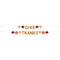 UNIQUE PARTY FAVORS Thanksgiving Thankful Harvest Give and Thanks Banners, 72 Inches, 2 Count 011179571482