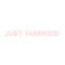 UNIQUE PARTY FAVORS Wedding Pink "Just Married" Fabric Banner, 84 Inches, 1 Count 011179287239