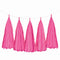 Weifang Mayshine Imp&exp co Decorations Fuchsia Tassel Garland, 5 Count 810064197086